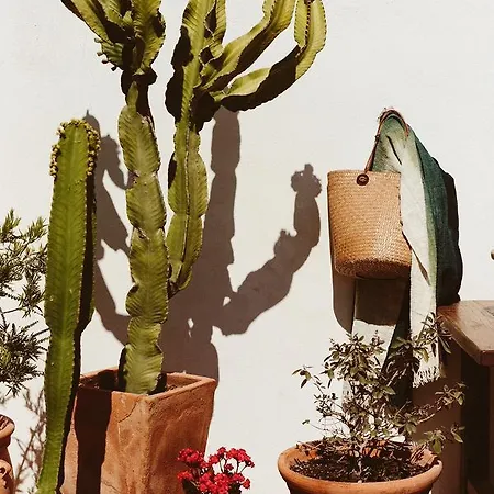 Landhaus The Finca Ibiza *