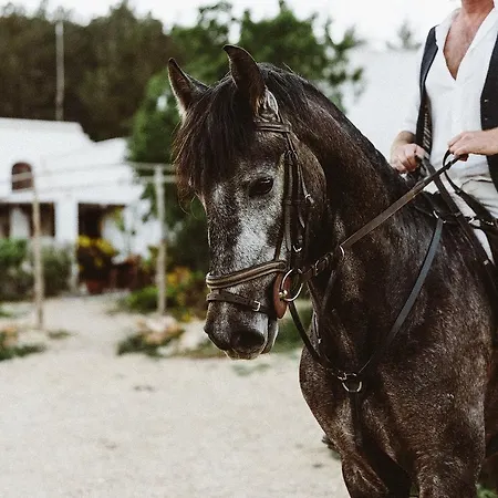 Landhaus The Finca Ibiza *